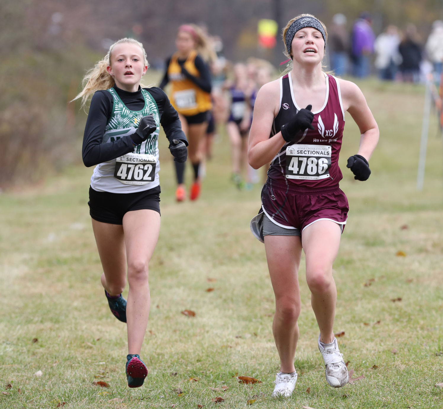 WIAA girls and boys cross country sectional